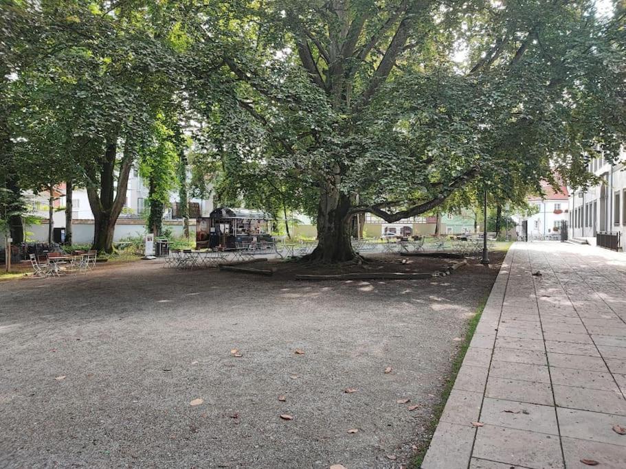 -Stadthaus Ida- Mit Grosser Dachterasse, Am Schlosspark, Luftkurort Kisslegg, Boxspringbetten, Kaffeevollautomat, Smarttv, Familienfreundlich, Grosszuegig, Zentral Exterior photo