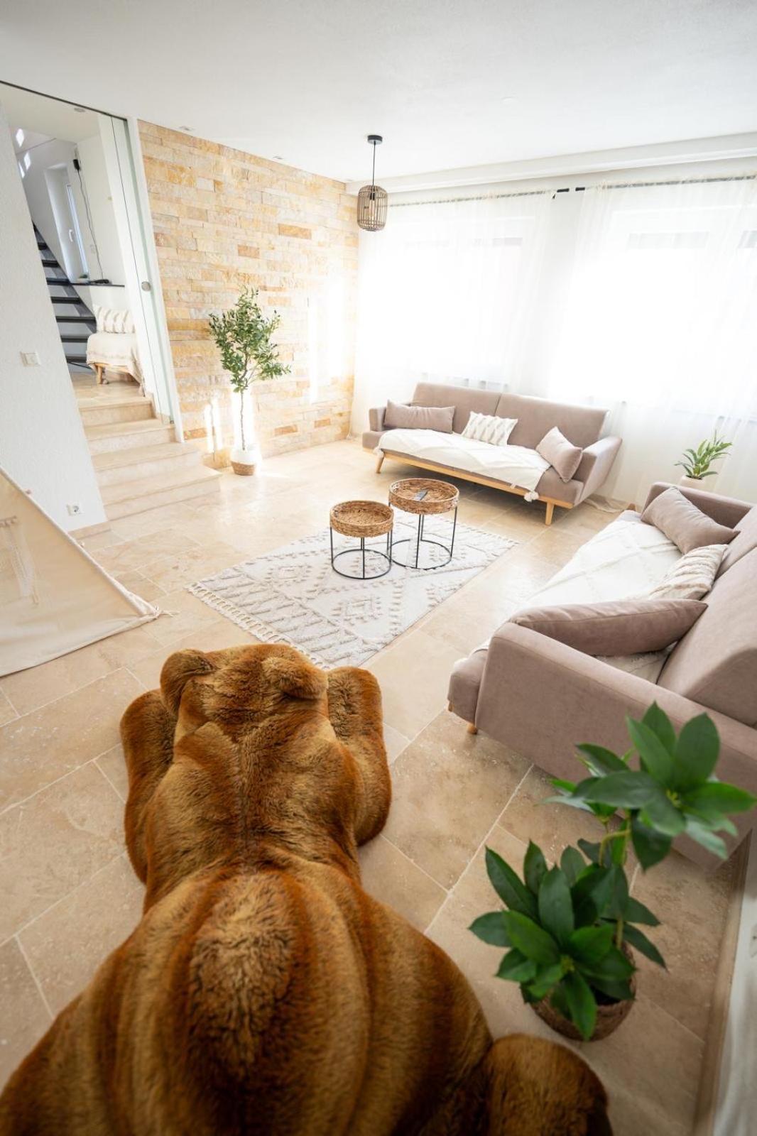 -Stadthaus Ida- Mit Grosser Dachterasse, Am Schlosspark, Luftkurort Kisslegg, Boxspringbetten, Kaffeevollautomat, Smarttv, Familienfreundlich, Grosszuegig, Zentral Exterior photo